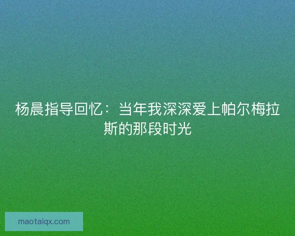 杨晨指导回忆：当年我深深爱上帕尔梅拉斯的那段时光