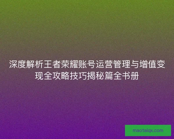 深度解析王者荣耀账号运营管理与增值变现全攻略技巧揭秘篇全书册