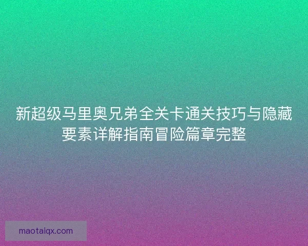 新超级马里奥兄弟全关卡通关技巧与隐藏要素详解指南冒险篇章完整
