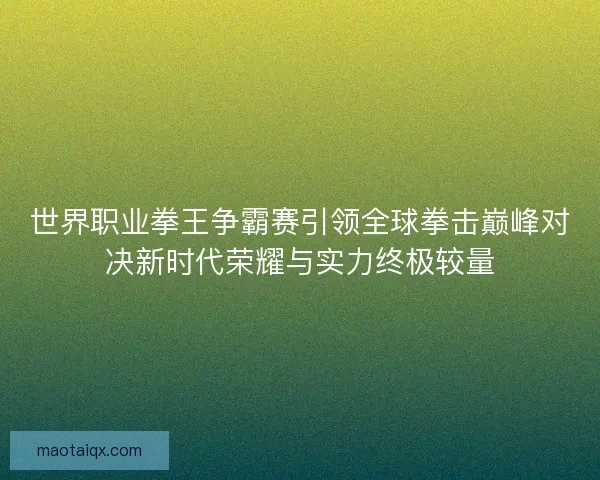 世界职业拳王争霸赛引领全球拳击巅峰对决新时代荣耀与实力终极较量