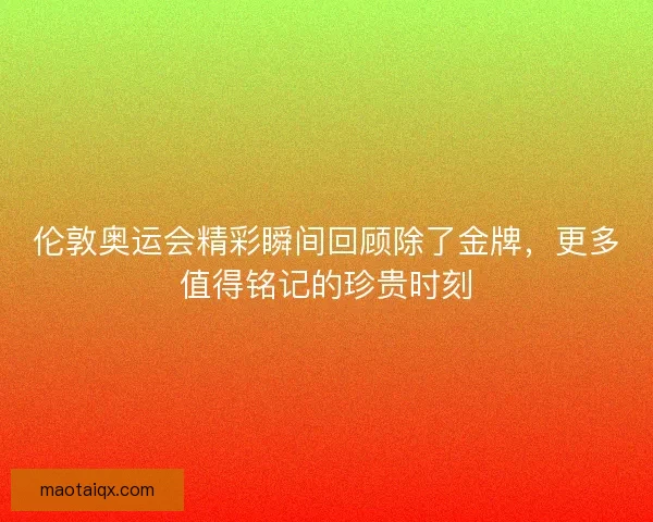 伦敦奥运会精彩瞬间回顾除了金牌，更多值得铭记的珍贵时刻