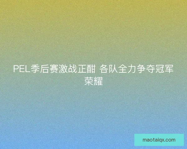 PEL季后赛激战正酣 各队全力争夺冠军荣耀 PEL季后赛激战正酣 各队全力争夺冠军荣耀